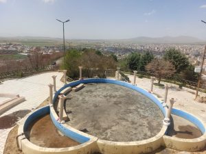 IMG_20250516_174046_991